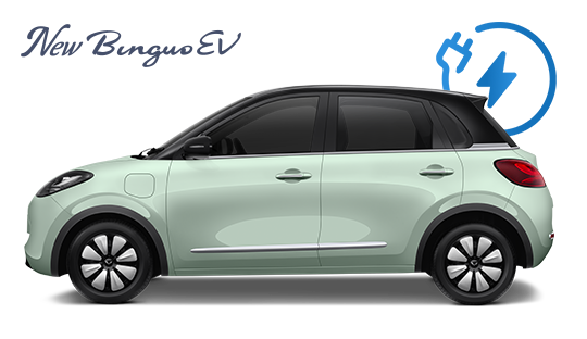 Wuling BinguoEV